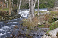 Elkins, NH - Fall and Mill Wheel